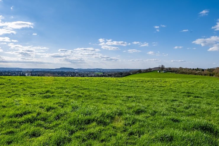 Ravnik
